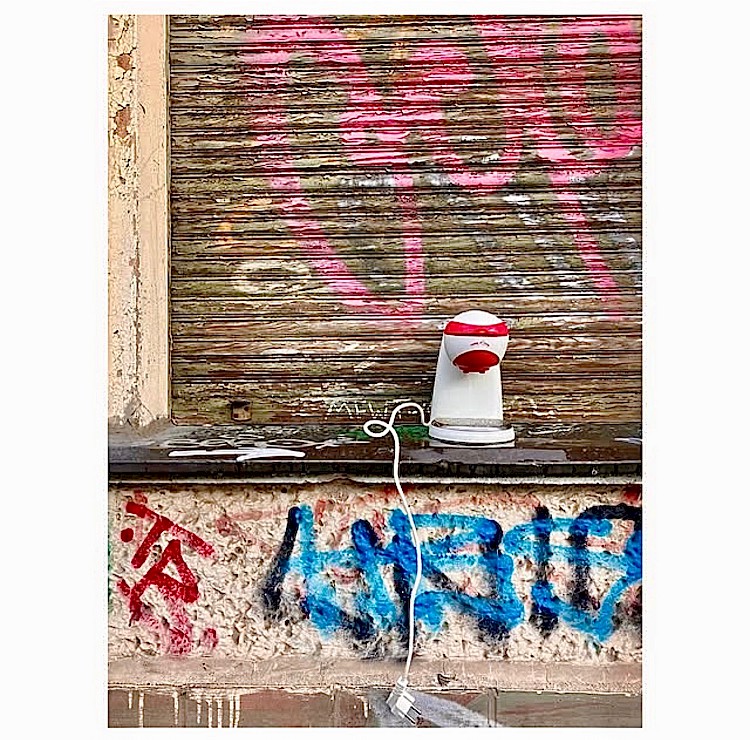 trash of - 2024.
