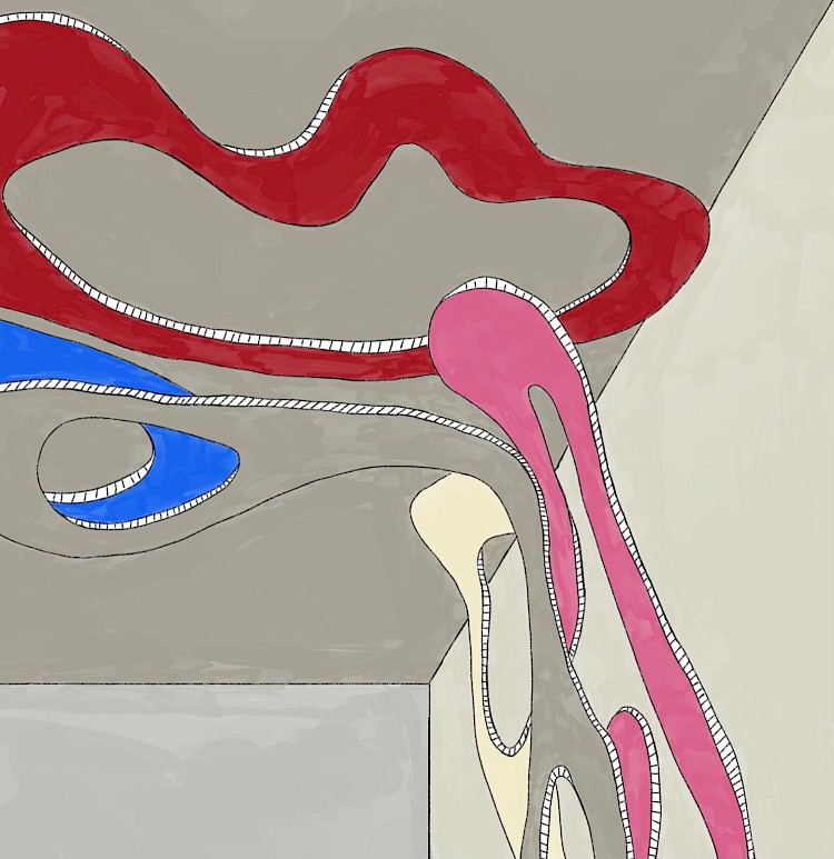 Maxim / Berlin - KaB 2026.